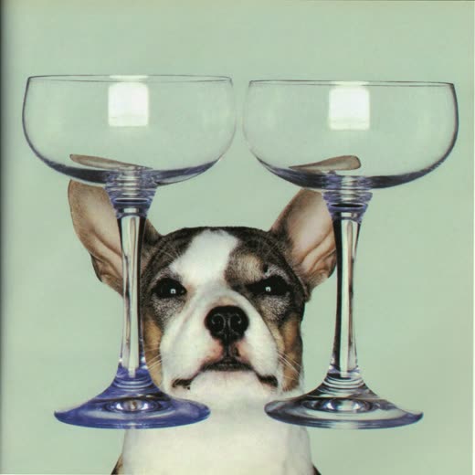 A pair of coupe glasses