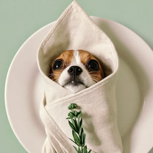 A laid place setting with a folded linen napkin